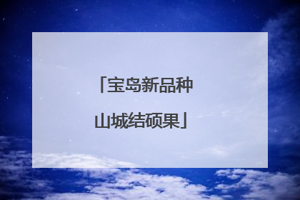 宝岛新品种 山城结硕果